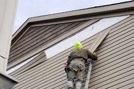 Affordable Siding Repair and Maintenance Services in Alliance, NE